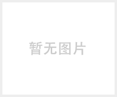 雄獅貨車(chē)輪胎拆裝機(jī) 大型輪胎拆裝機(jī) 客車(chē)輪胎扒胎機(jī)